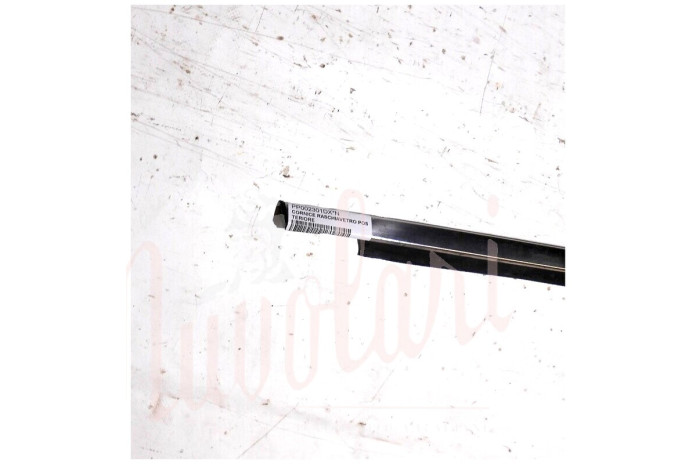 CORNICE RASCHIAVETRO ESTERNO POSTERIORE (COMPLETA)