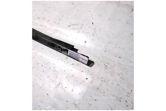 CORNICE RASCHIAVETRO ESTERNO POSTERIORE (COMPLETA)