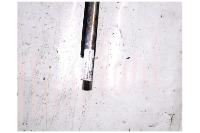 CORNICE RASCHIAVETRO ESTERNO POSTERIORE (COMPLETA)