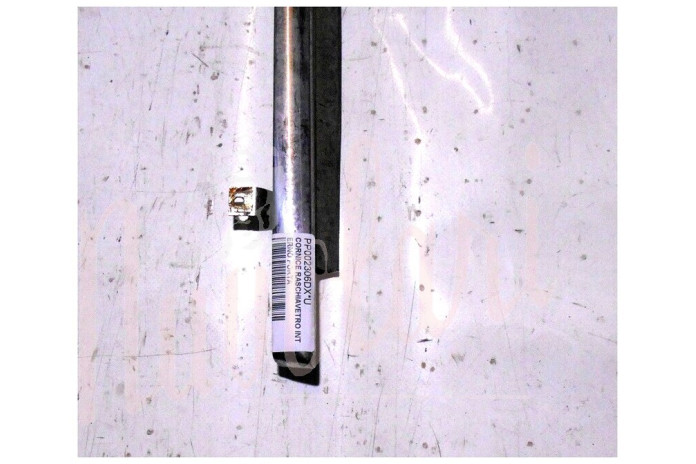 CORNICE RASCHIAVETRO INTERNO PORTA (COMPLETA)