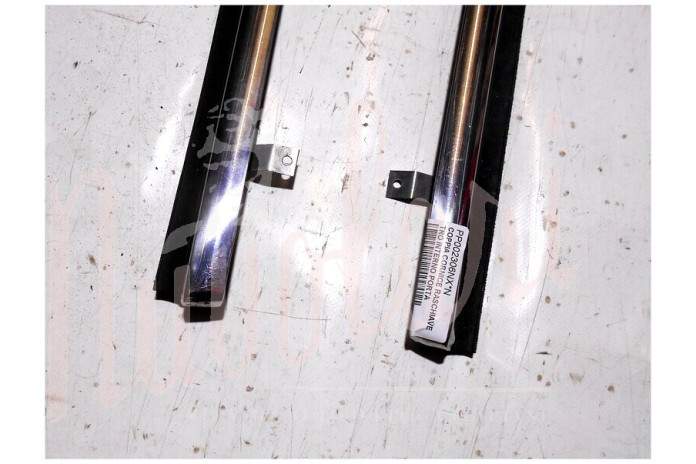 COPPIA CORNICE RASCHIAVETRO INTERNO PORTA (COMPLETA)