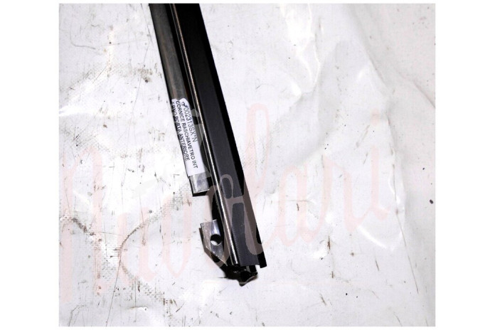 CORNICE RASCHIAVETRO INTERNO PORTA ANTERIORE (COMPLETA)