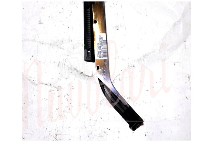 CORNICE RASCHIAVETRO ESTERNO PORTA POSTERIORE (COMPLETA)