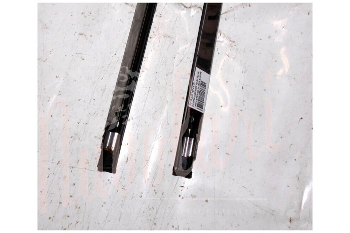 COPPIA CORNICE RASCHIAVETRO ESTERNO PORTA ANTERIORE