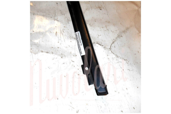 CORNICE RASCHIAVETRO ESTERNO PORTA POSTERIORE (GRIGIO COMPLETA)