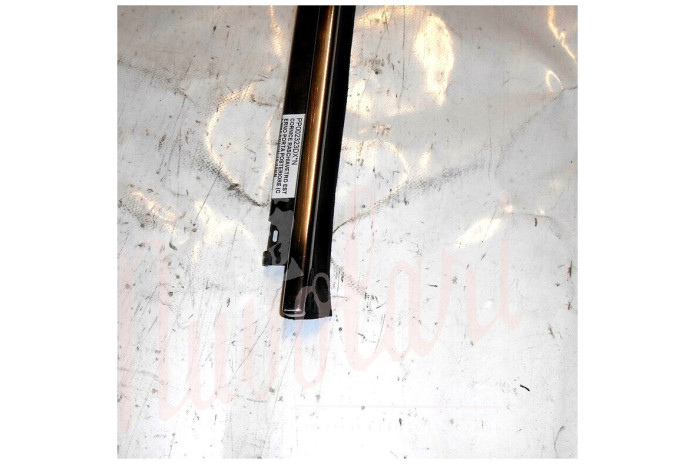 CORNICE RASCHIAVETRO ESTERNO PORTA POSTERIORE (COMPLETA)