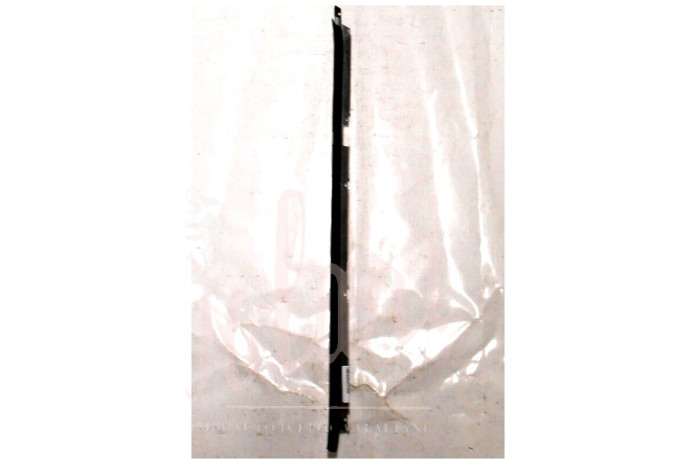 CORNICE RASCHIAVETRO ESTERNO PORTA POSTERIORE (COMPLETA)