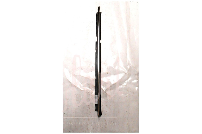 CORNICE RASCHIAVETRO ESTERNO PORTA POSTERIORE (COMPLETA)