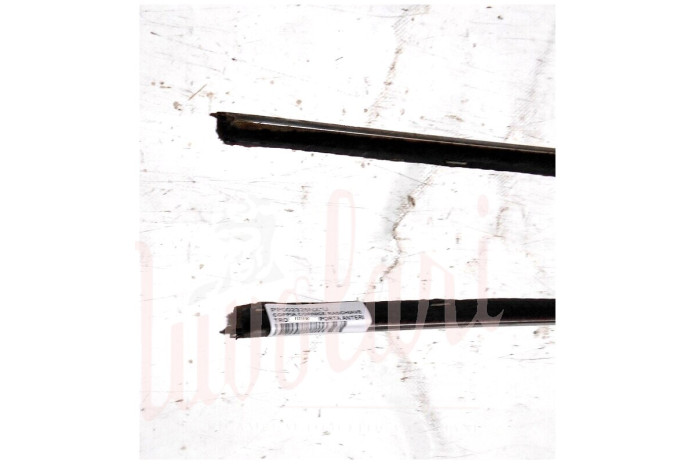 COPPIA CORNICE RASCHIAVETRO ESTERNO PORTA ANTERIORE (COMPLETA)