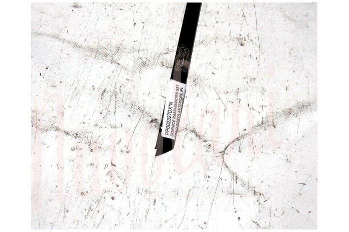 CORNICE RASCHIAVETRO ESTERNO PORTA ANTERIORE (PLASTICA Cent78.7)