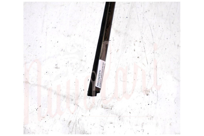 CORNICE RASCHIAVETRO ESTERNO PORTA ANTERIORE (COMPLETA)