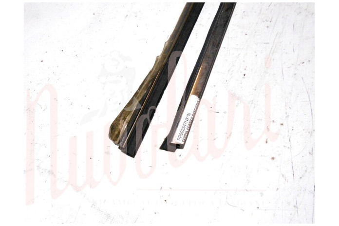 COPPIA CORNICE RASCHIAVETRO ESTERNO PORTA ANTERIORE (COMPLETA)