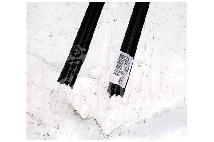 COPPIA CORNICE RASCHIAVETRO ESTERNO PORTA POSTERIORE