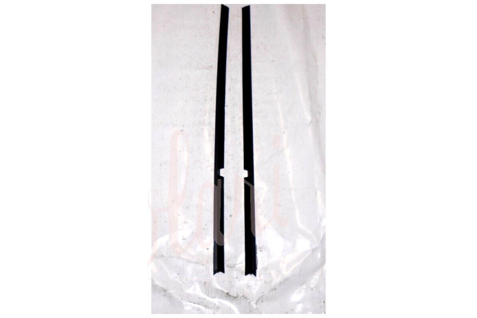 COPPIA CORNICE RASCHIAVETRO ESTERNO PORTA POSTERIORE