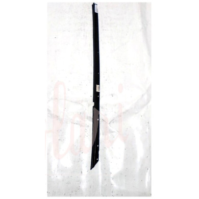 CORNICE RASCHIAVETRO ESTERNO PORTA POSTERIORE