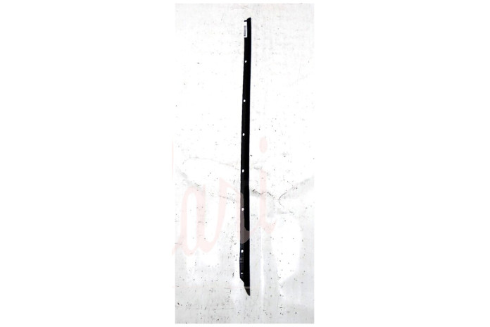 CORNICE RASCHIAVETRO ESTERNO PORTA POSTERIORE