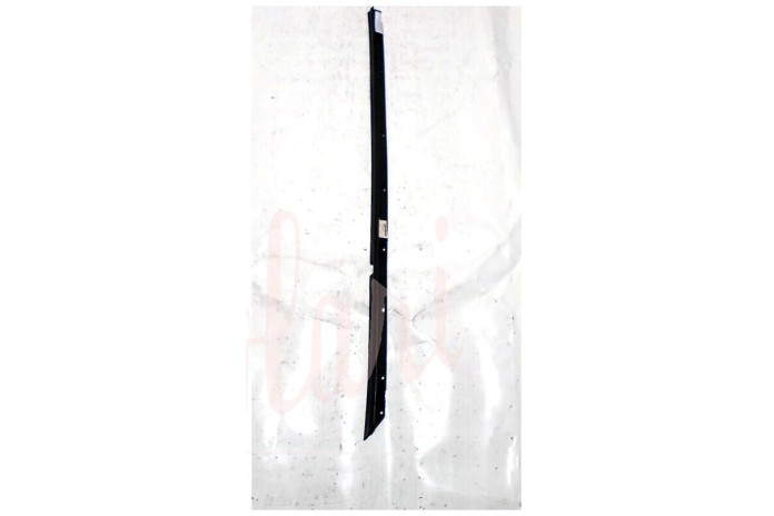 CORNICE RASCHIAVETRO ESTERNO PORTA POSTERIORE