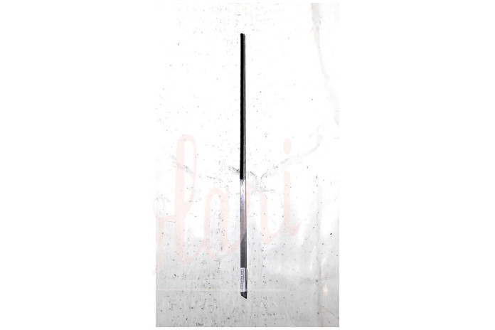 CORNICE RASCHIAVETRO EST DX-INT SX PORTA ANTERIORE (COMPLETA)