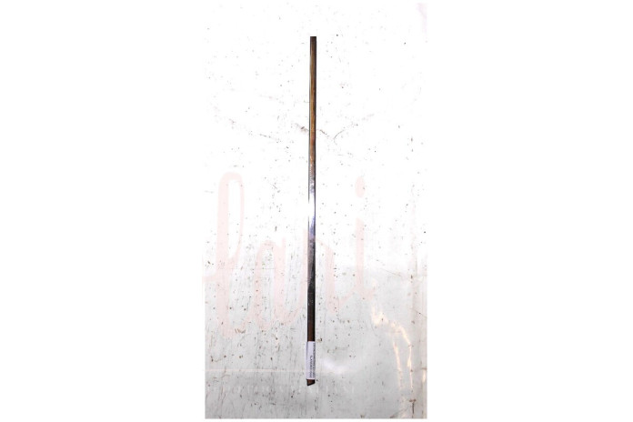 CORNICE RASCHIAVETRO EST SX-INT DX PORTA POSTERIORE (Cent68)