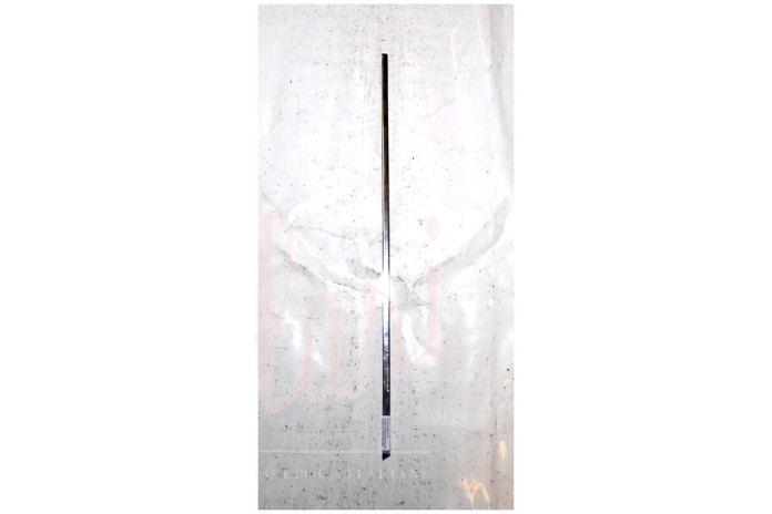 CORNICE RASCHIAVETRO EST DX-INT SX PORTA ANTERIORE (Cent 79)