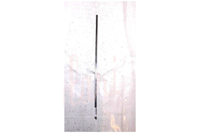 CORNICE RASCHIAVETRO EST DX-INT SX PORTA ANTERIORE (Cent 79)