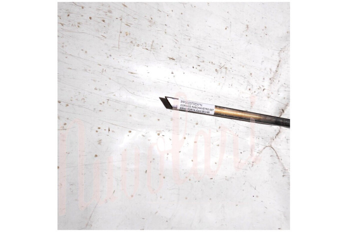 CORNICE RASCHIAVETRO ESTERNO PORTA (Cent 89.3-89.5)