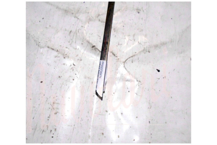 CORNICE RASCHIAVETRO ESTERNO PORTA (Cent 92.5-93)