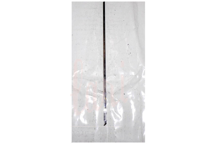 CORNICE RASCHIAVETRO ESTERNO PORTA ANTERIORE (Cent 88.3)