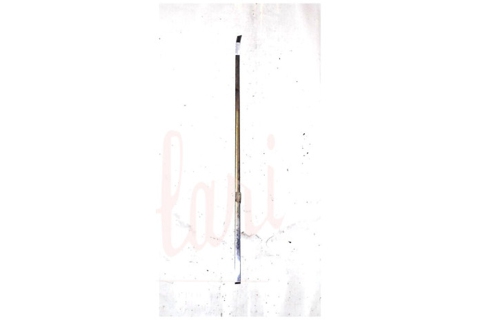 CORNICE RASCHIAVETRO ESTERNO PORTA POSTERIORE