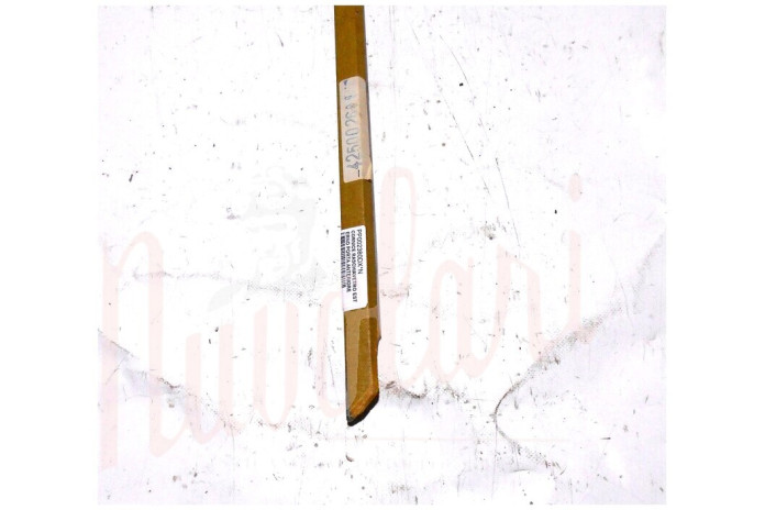 CORNICE RASCHIAVETRO ESTERNO PORTA ANTERIORE