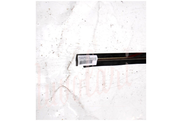 CORNICE RASCHIAVETRO ESTERNO PORTA ANTERIORE (COMPLETA)
