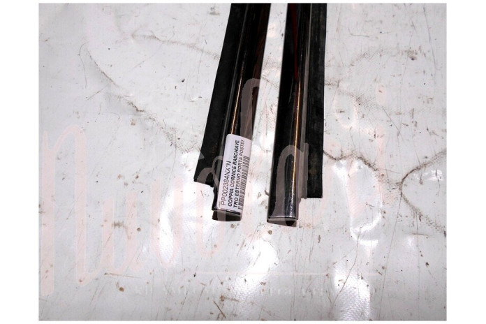 COPPIA CORNICE RASCHIAVETRO ESTERNO PORTA POSTERIORE (COMPLETA)