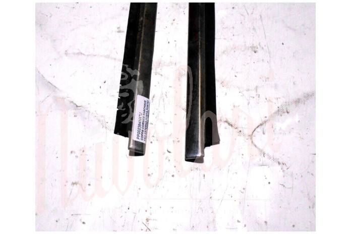 COPPIA CORNICE RASCHIAVETRO ESTERNO PORTA POSTERIORE (COMPLETA)