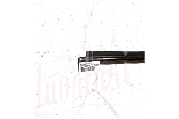 CORNICE RASCHIAVETRO ESTERNO PORTA POSTERIORE (COMPLETA)