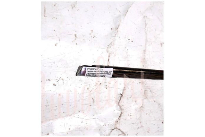 CORNICE RASCHIAVETRO ESTERNO PORTA POSTERIORE (COMPLETA)