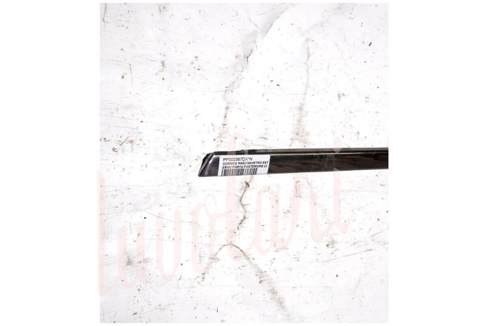 CORNICE RASCHIAVETRO ESTERNO PORTA POSTERIORE (COMPLETA)