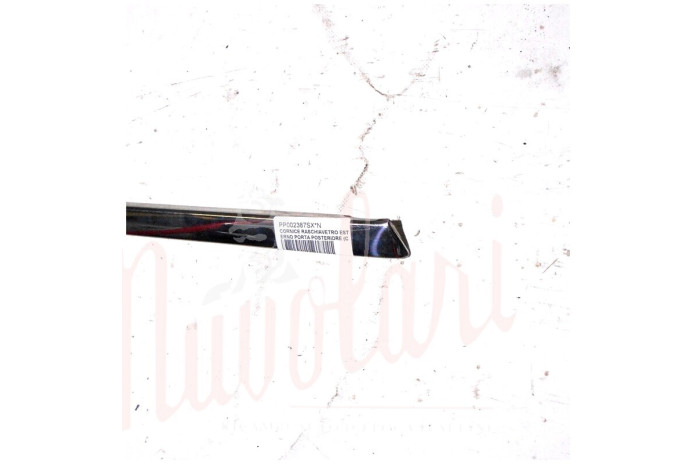 CORNICE RASCHIAVETRO ESTERNO PORTA POSTERIORE (COMPLETA)