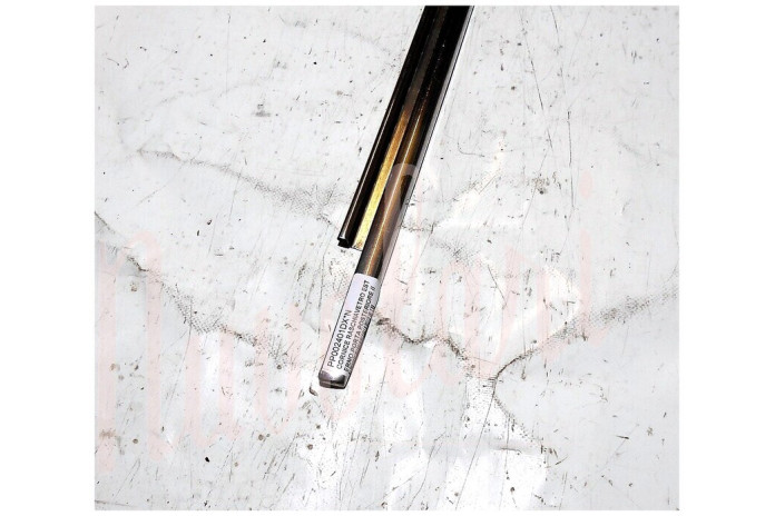 CORNICE RASCHIAVETRO ESTERNO PORTA POSTERIORE (INOX)