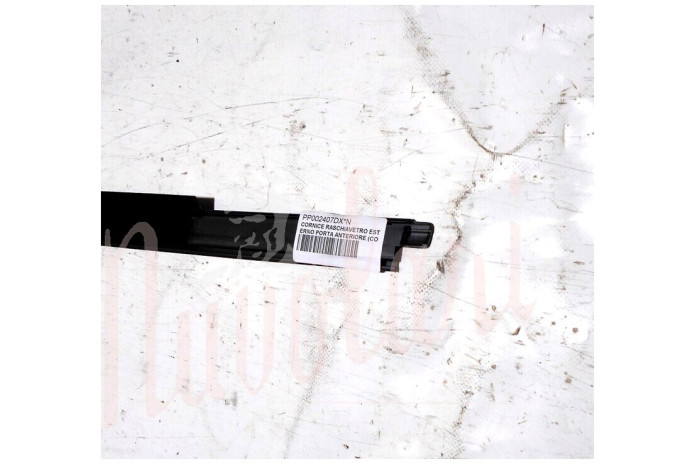 CORNICE RASCHIAVETRO EST PORTA ANT (COMPLETA PLASTICA Cent 62)