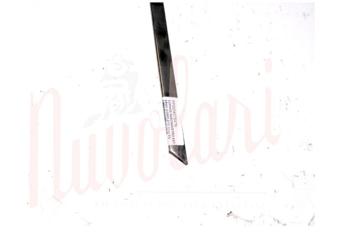 CORNICE RASCHIAVETRO ESTERNO PORTA (COMPLETA Cent 94)