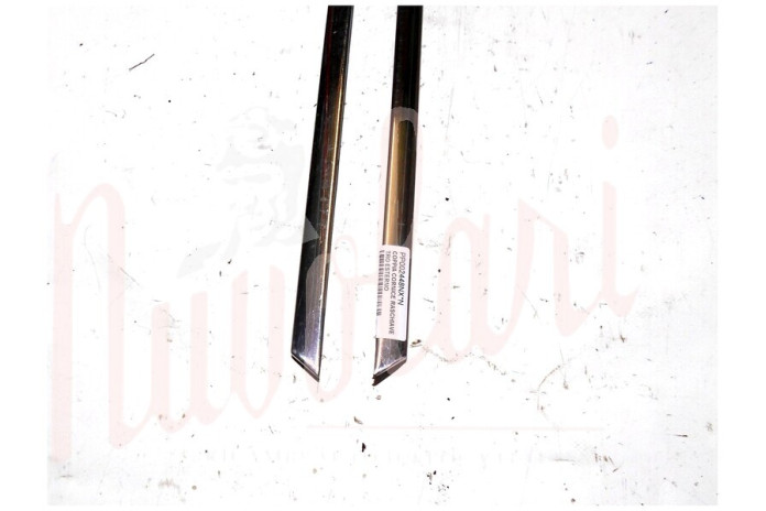 COPPIA CORNICE RASCHIAVETRO ESTERNO PORTA