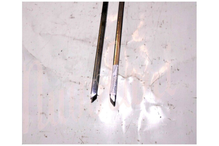 COPPIA CORNICE RASCHIAVETRO INTERNO PORTA (COMPLETA)