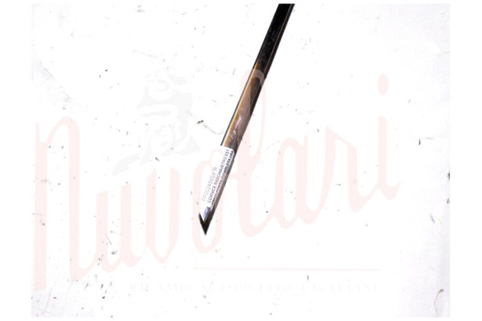 CORNICE RASCHIAVETRO ESTERNO PORTA (COMPLETA USATA BUONA)