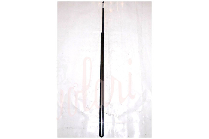 CORNICE RASCHIAVETRO ESTERN0 PORTA (COMPLETA)