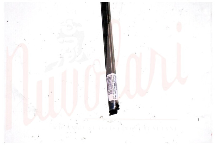 CORNICE RASCHIAVETRO ESTERNO PORTA POSTERIORE (COMPLETA)