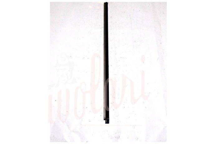 CORNICE RASCHIAVETRO ESTERNO PORTA POSTERIORE (COMPLETA)