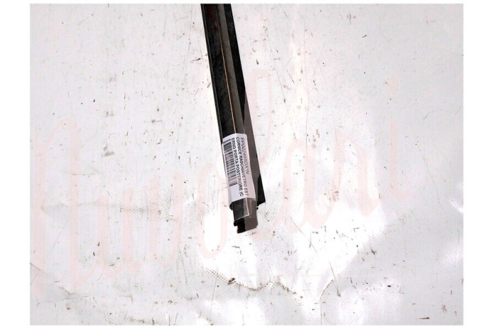 CORNICE RASCHIAVETRO ESTERNO PORTA POSTERIORE (COMPLETA)