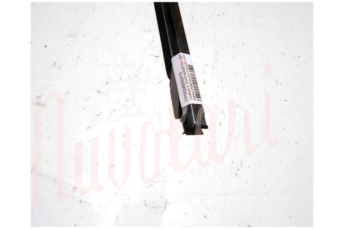 CORNICE RASCHIAVETRO ESTERNO PORTA POSTERIORE (COMPLETA)