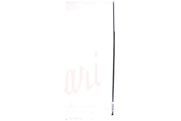 CORNICE RASCHIAVETRO ESTERNO DX INTERNO SX PORTA (COMPLETA)