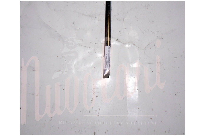 CORNICE RASCHIAVETRO ESTERNO SX INTERNO DX PORTA (COMPLETA)